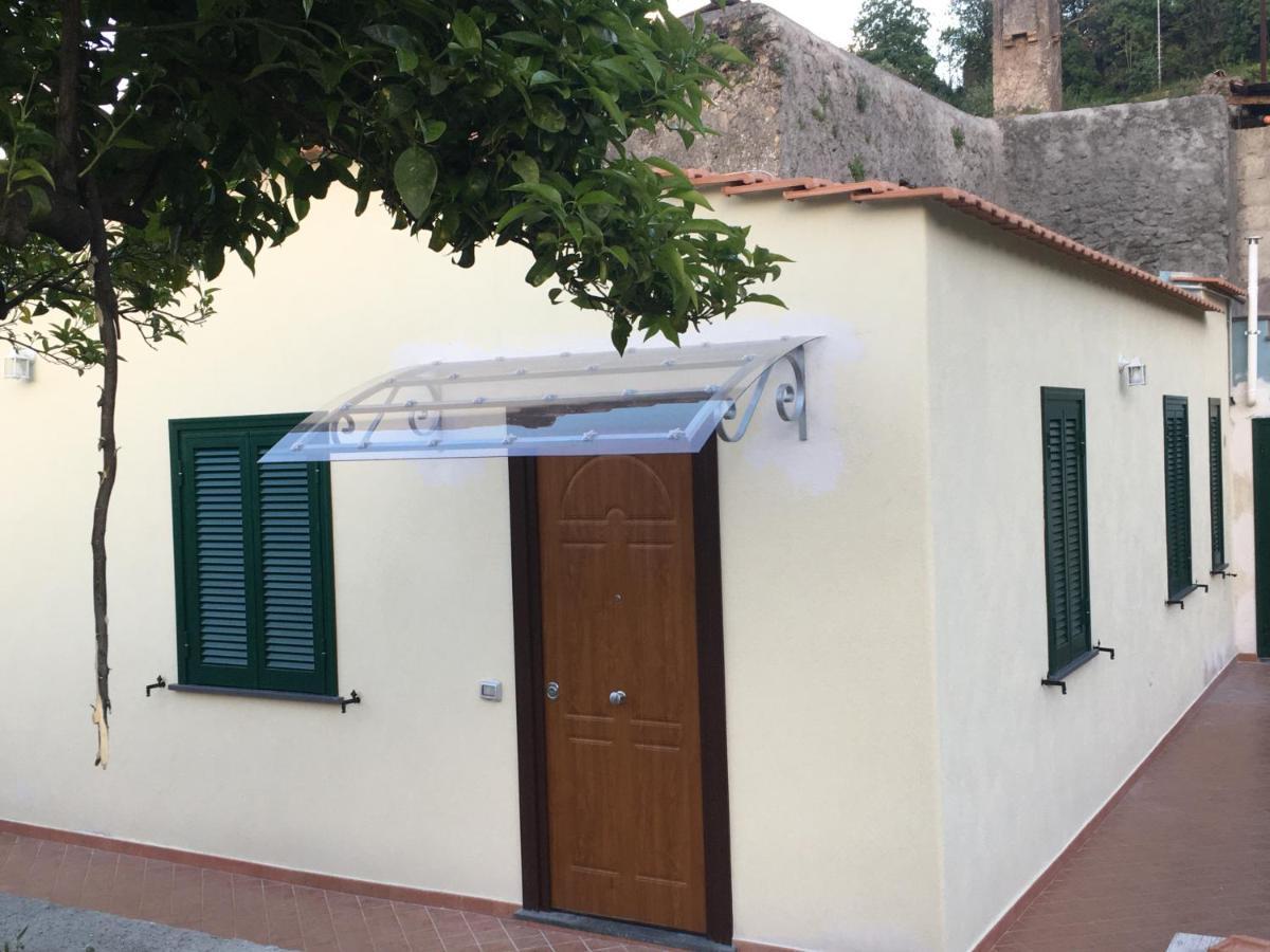 La Finestra Sul Giardino Apartment Ischia Exterior foto