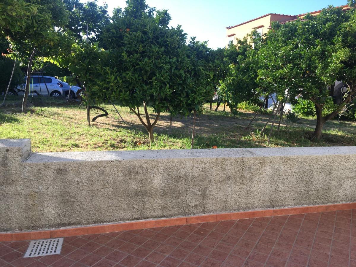 La Finestra Sul Giardino Apartment Ischia Exterior foto